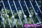 glitterfy111700673d35.gif