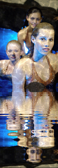 H204.gif